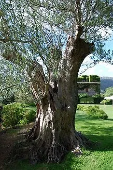 L'Agnata Di De Andre Boutique Hotel Tempio Pausania
